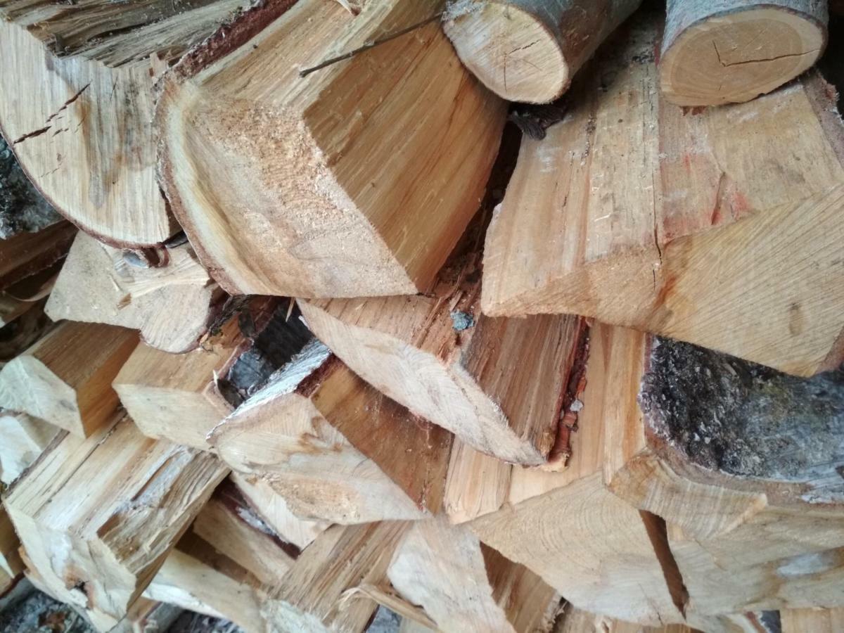 Chalet La Bachole Charancieu Ngoại thất bức ảnh